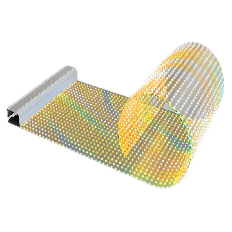 Custom Flexible Transparent LED Film Display P10 Outdoor LED Video Wall
