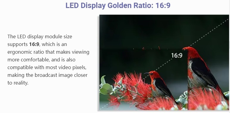 Indoor Small Pitch LED Digital Signage Display P1.667 320*160mm Module Size