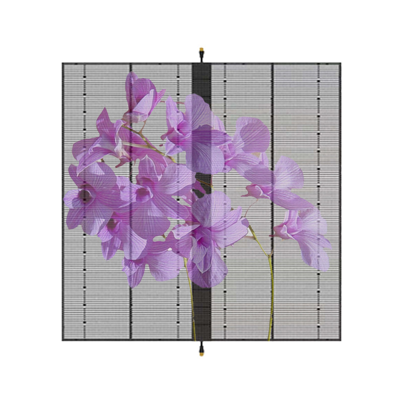 Indoor Advertising Video Wall P3.91-P7.82 Transparent Glass LED Screen Display