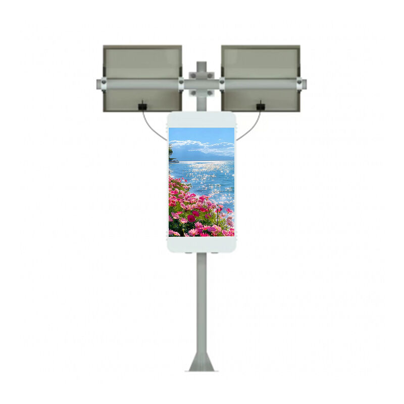Outdoor Solar Light Pole LED Display with 2-5 Years Warranty 100000 Hours Life Span and Energy Saving